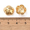 Brass Bead Caps KK-O100-14G-3