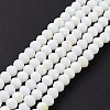 Electroplate Opaque Solid Color Glass Beads Strands LS-EGLA-A034-P3mm-L17-2