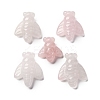 Natural Rose Quartz Display Decorations DJEW-P019-B01-1