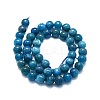 Natural Apatite Beads Strands G-K245-A03-04-2