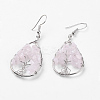 Natural Gemstone Dangle Earrings EJEW-P136-A-2