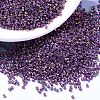 MIYUKI Delica Beads LS-X-SEED-J020-DB1014-1