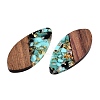 Transparent Resin and Walnut Wood Pendants RESI-T057-05J-3