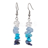 Natural Mixed Stone & Synthetic Turquoise Dangle Earrings EJEW-JE06030-4
