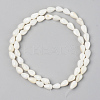 Natural Freshwater Shell Beads Strands X-SSHEL-R048-007B-2