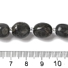 Natural Larvikite Beads Strands G-Q169-E05-01-5