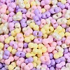 Glass Seed Beads SEED-K010-03F-2