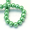 Baking Painted Pearlized Glass Pearl Round Bead Strands HY-Q003-6mm-69-4