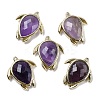 Natural Amethyst Pendants G-U019-02G-07-1