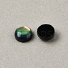Natural Abalone Shell/Paua Shell Cabochons with Enamel BSHE-WH0006-06A-2
