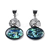 Natural Paua Shell Pendants FIND-A036-01P-01-1