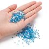 Glass Seed Beads X-SEED-S059-004-5