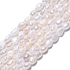 Natural Cultured Freshwater Pearl Beads Strands PEAR-N014-03E-01-2