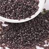 MIYUKI Round Rocailles Beads SEED-X0055-RR2400-1