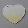 Gradient Transparent Acrylic Disc Big Pendants FIND-WH0032-54F-1