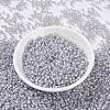 MIYUKI Round Rocailles Beads SEED-JP0009-RR0576-2