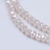 Electroplate Glass Beads Strands GLAA-F077-FR14-3