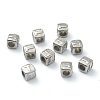 Tarnish Resistant 304 Stainless Steel European Beads STAS-H145-01T-P-2