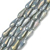 Electroplated Opaque Glass Beads Strands X-EGLA-L015-FR-B19-01-1