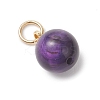 Dyed Natural Tiger Eye Round Charms PALLOY-JF04979-5