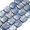 Natural Kyanite Beads Strands G-H335-I01-10x12mm-2