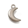 304 Stainless Steel Charms STAS-D310-06P-02-1