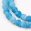 Natural Weathered Agate Beads Strands G-G589-8mm-14-6
