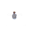 Miniature Glass Empty Wishing Bottles BOTT-PW0006-02H-1