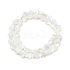 Natural Freshwater Shell Beads Strands SHEL-K010-02A-2