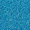 MIYUKI Round Rocailles Beads X-SEED-G008-RR0647-4
