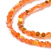 Transparent Electroplate Glass Beads Strands GLAA-Q099-A01-06-3