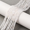 Natural Quartz Crystal Beads Strands G-L629-B07-2mm-1