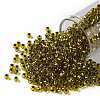 TOHO 8/0 Round Beads SEED-JPTR08-0747-1
