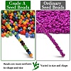 FGB 12/0 Grade A Glass Seed Beads X-SEED-Q009-FJXM-2