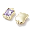 Rack Plating Alloy Rhinestone Charms PALLOY-F311-18G-2