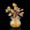 Natural Yellow Quartz Chips Tree Decorations PW-WG17210-02-1