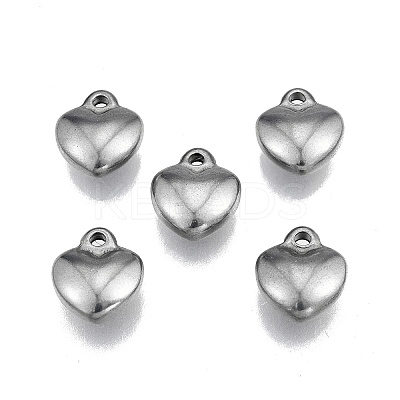 Non-Tarnish 304 Stainless Steel Charms LS-STAS-N099-26-1