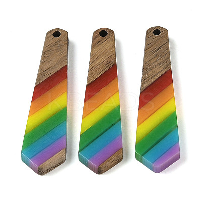 Pride Rainbow Theme Resin & Walnut Wood Pendants WOOD-K012-12C-1
