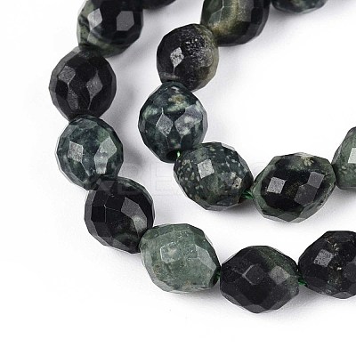Natural Kambaba Jasper Beads Strands G-T142-86-1