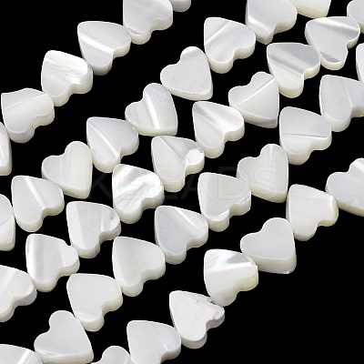 Natural Trochid Shell/Trochus Shell Beads Strands SH-CBA2978-10-1