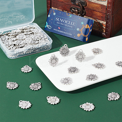 120Pcs Tibetan Style Alloy Pendants TIBEP-SC0002-07-1