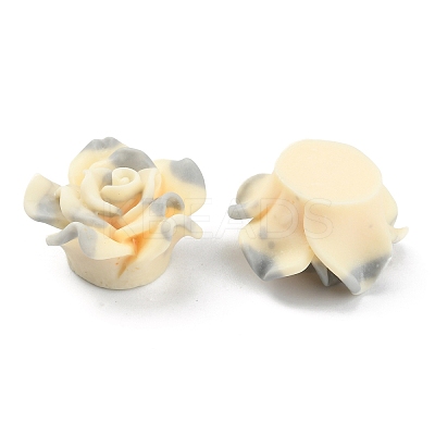 Smudged Color Frosted Resin Cabochons RESI-TAC0018-13E-1