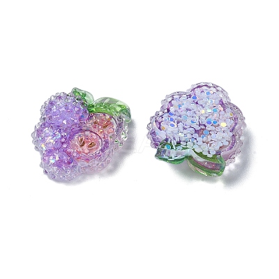 Fruit Transparent Epoxy Resin Decoden Cabochons LS-CRES-I030-23E-1