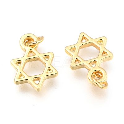Alloy Charms PALLOY-B024-17G-1