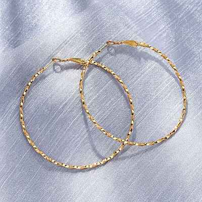 304 Stainless Steel Hoop Earrings EJEW-S250-01A-G-1