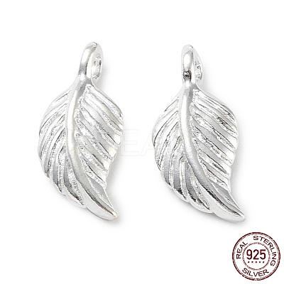 925 Sterling Silver Charms STER-E069-01S-1