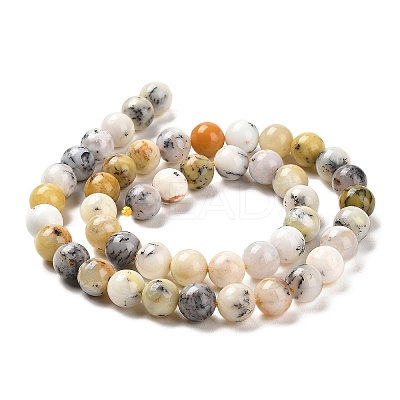 Natural African Opal Beads Strands G-B048-B03-02-1