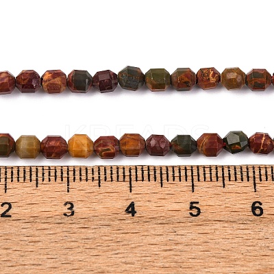 Natural Picasso Stone/Polychrome Jasper Beads Strands G-A260-A24-01-1