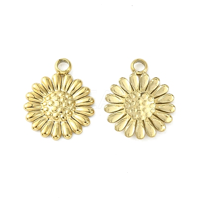 304 Stainless Steel Charms STAS-L269-062G-1
