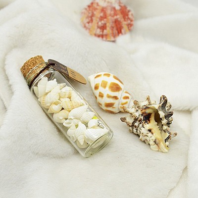 Glass Wishing Bottles DJEW-J001-04-1